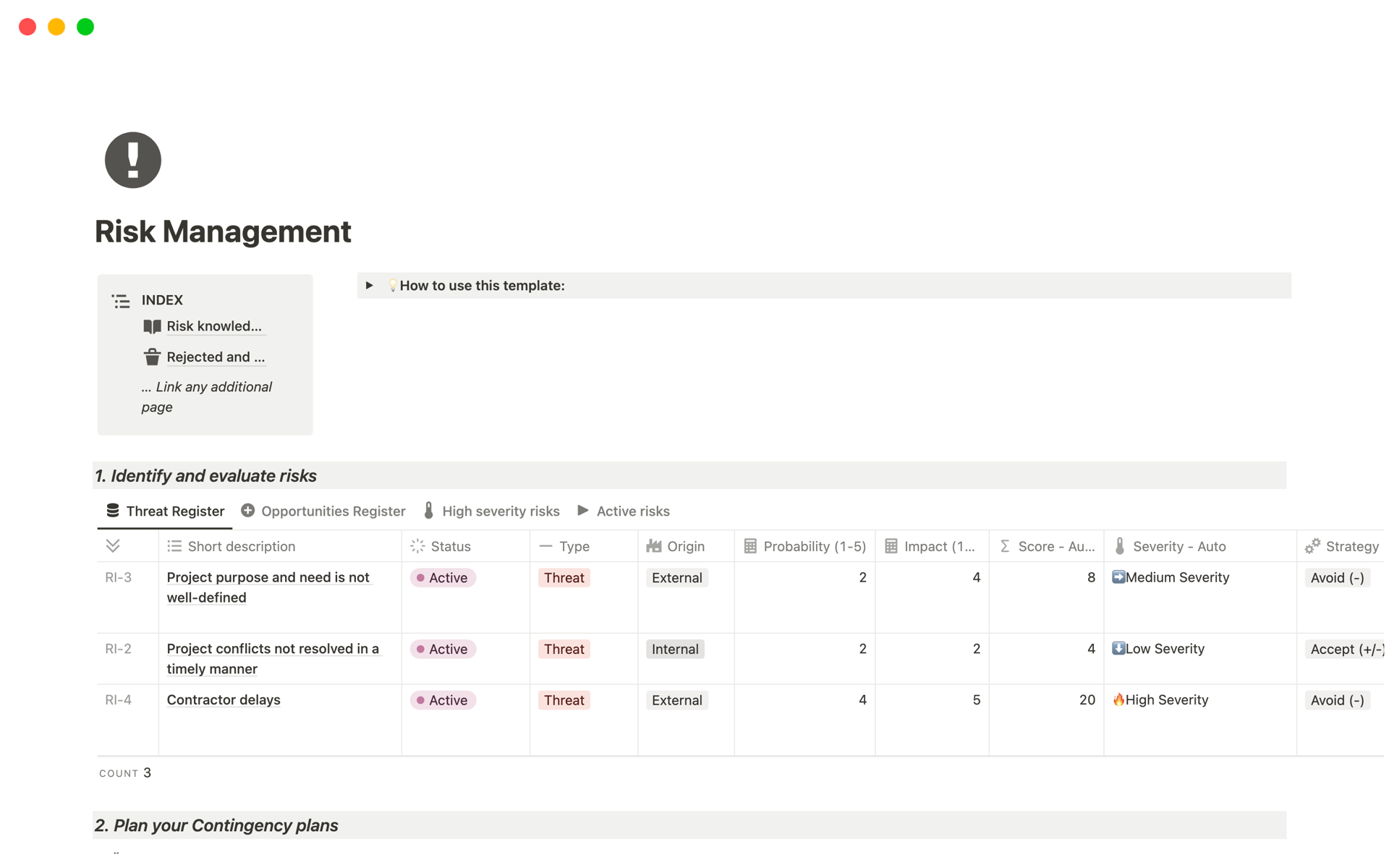 A template preview for Risk Management