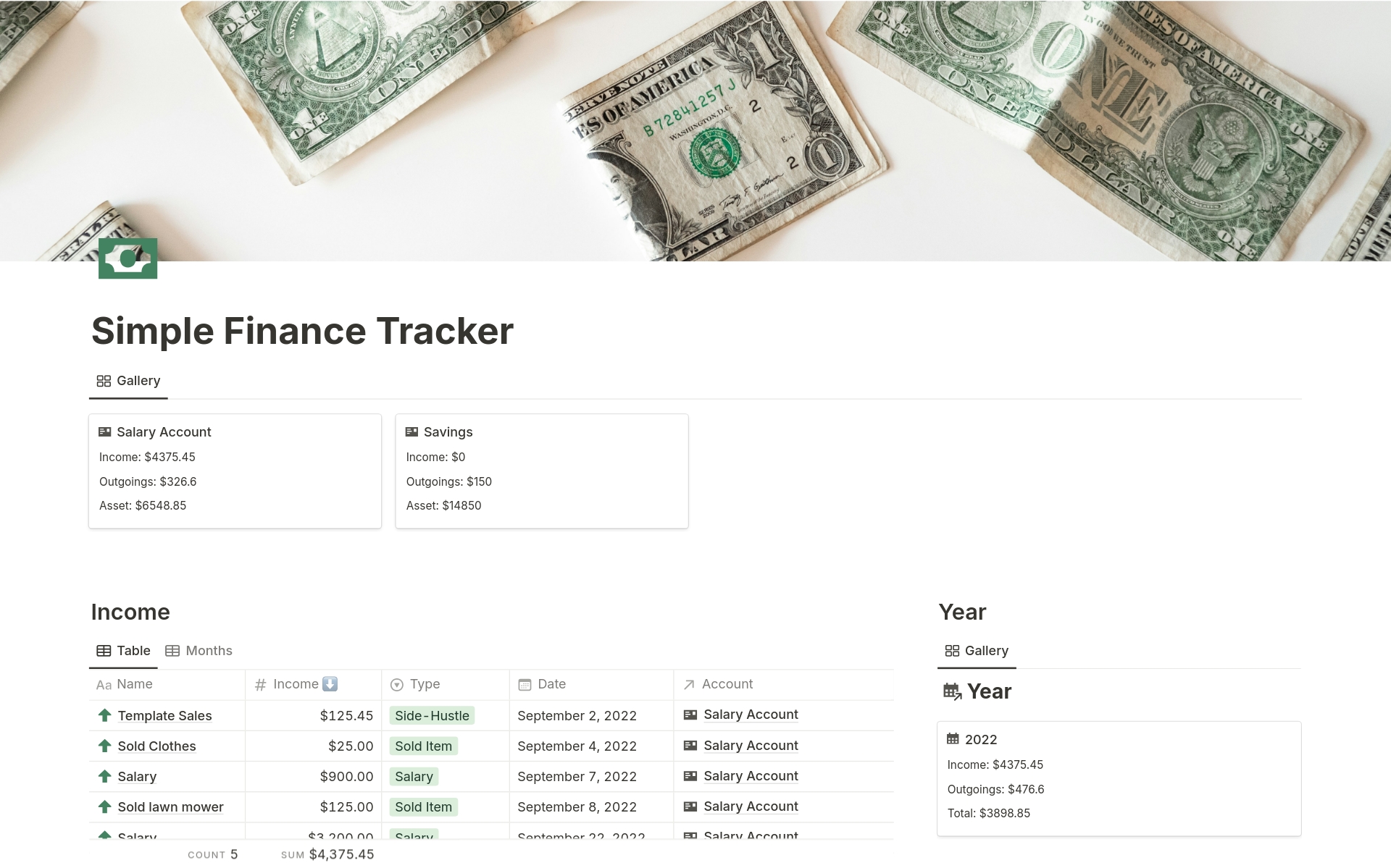 A template preview for Simple Finance Tracker