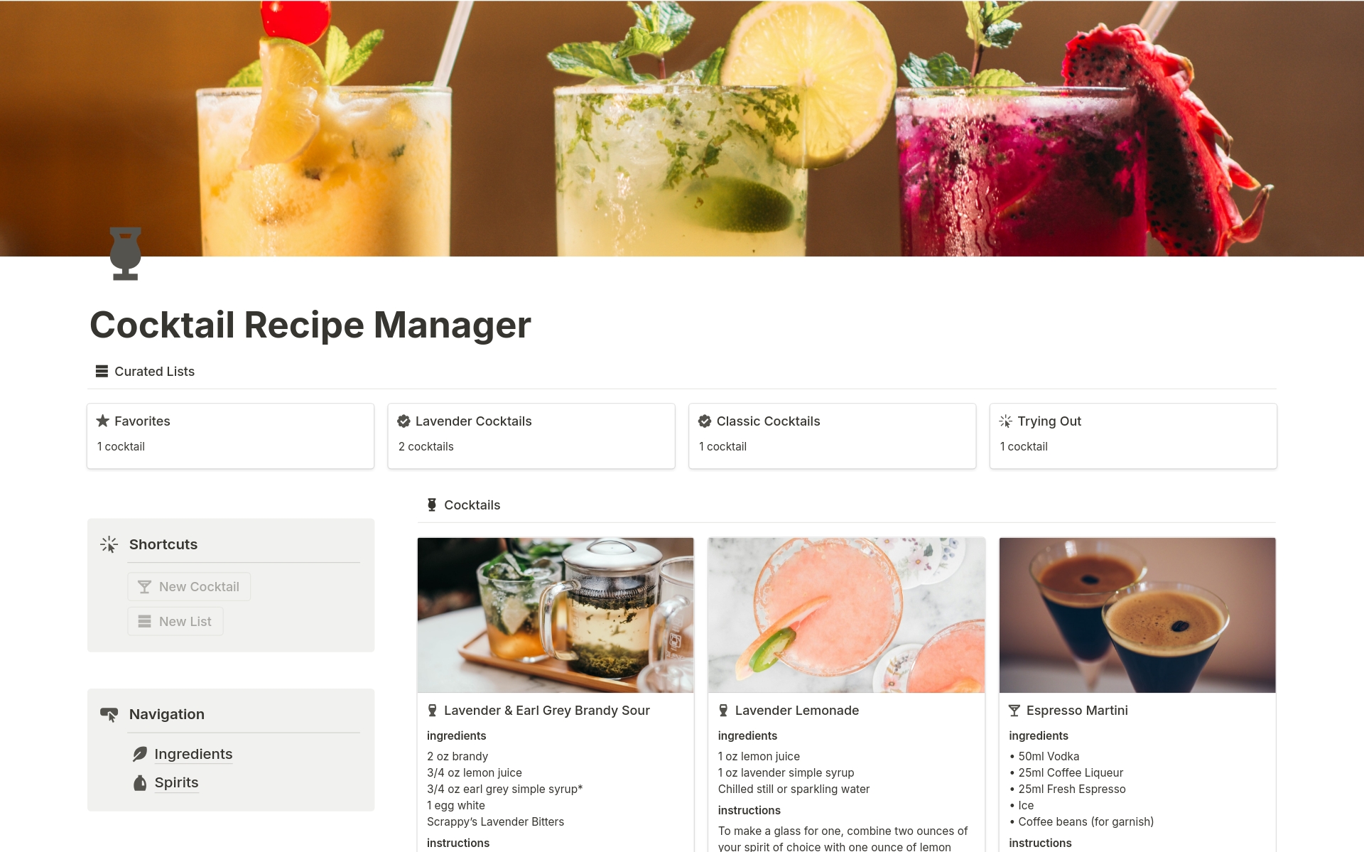 A template preview for Cocktail Recipe Manager