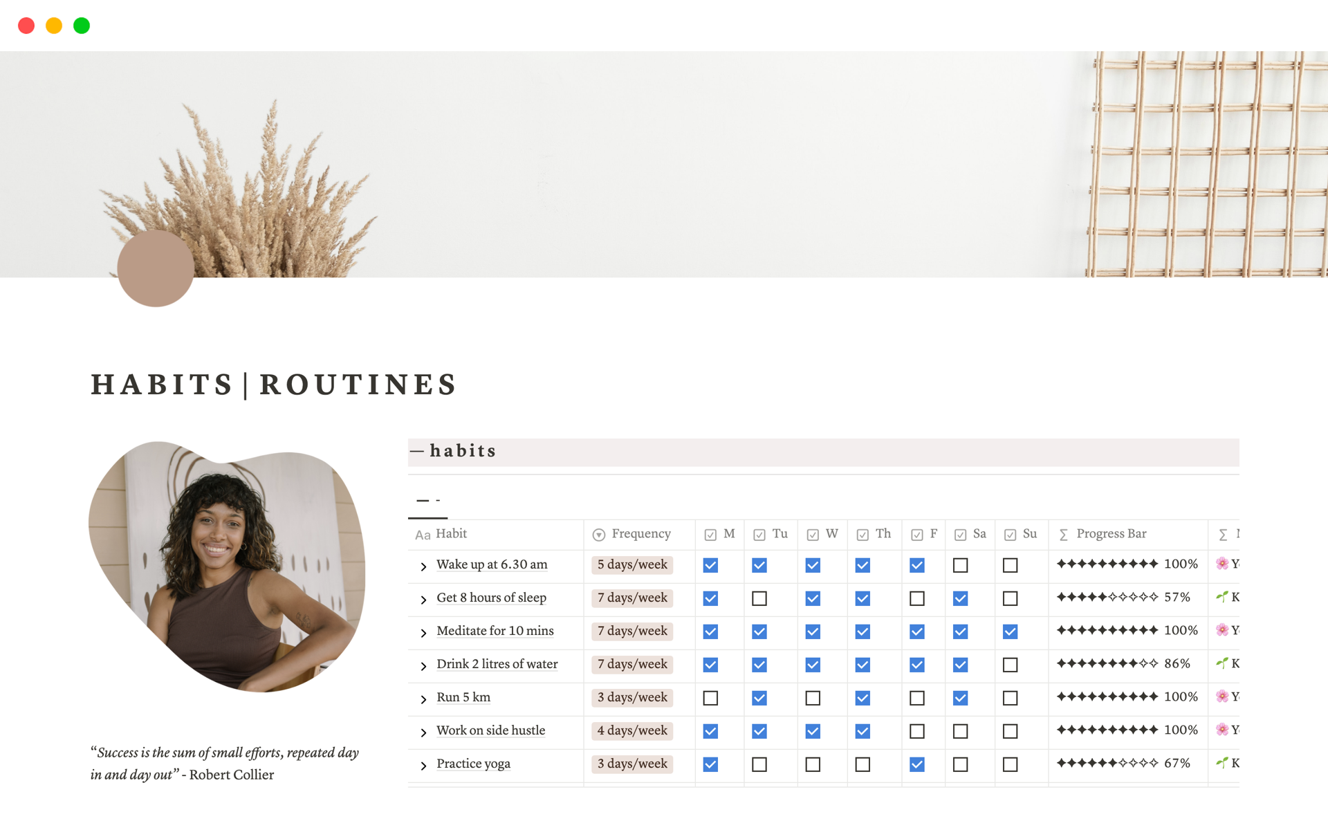 Habit Tracker and Routines Template | Notion Marketplace