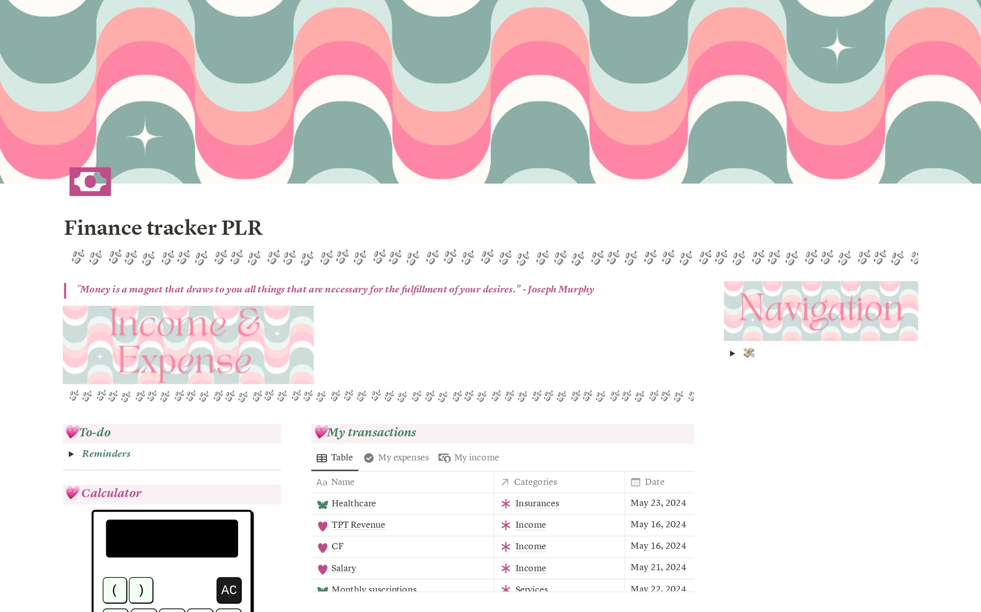 A template preview for PLR Finance Tracker