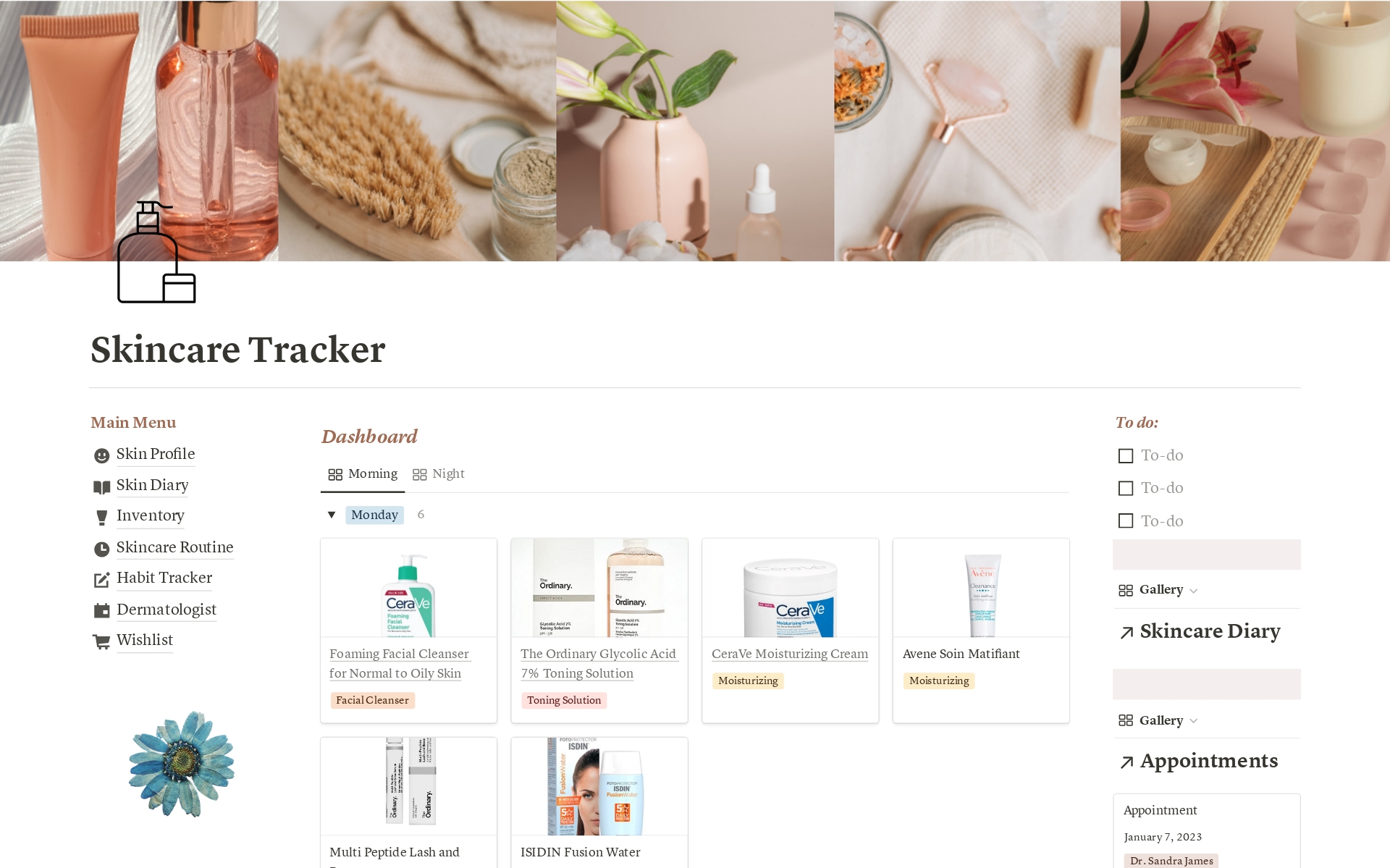 A template preview for Skincare Tracker