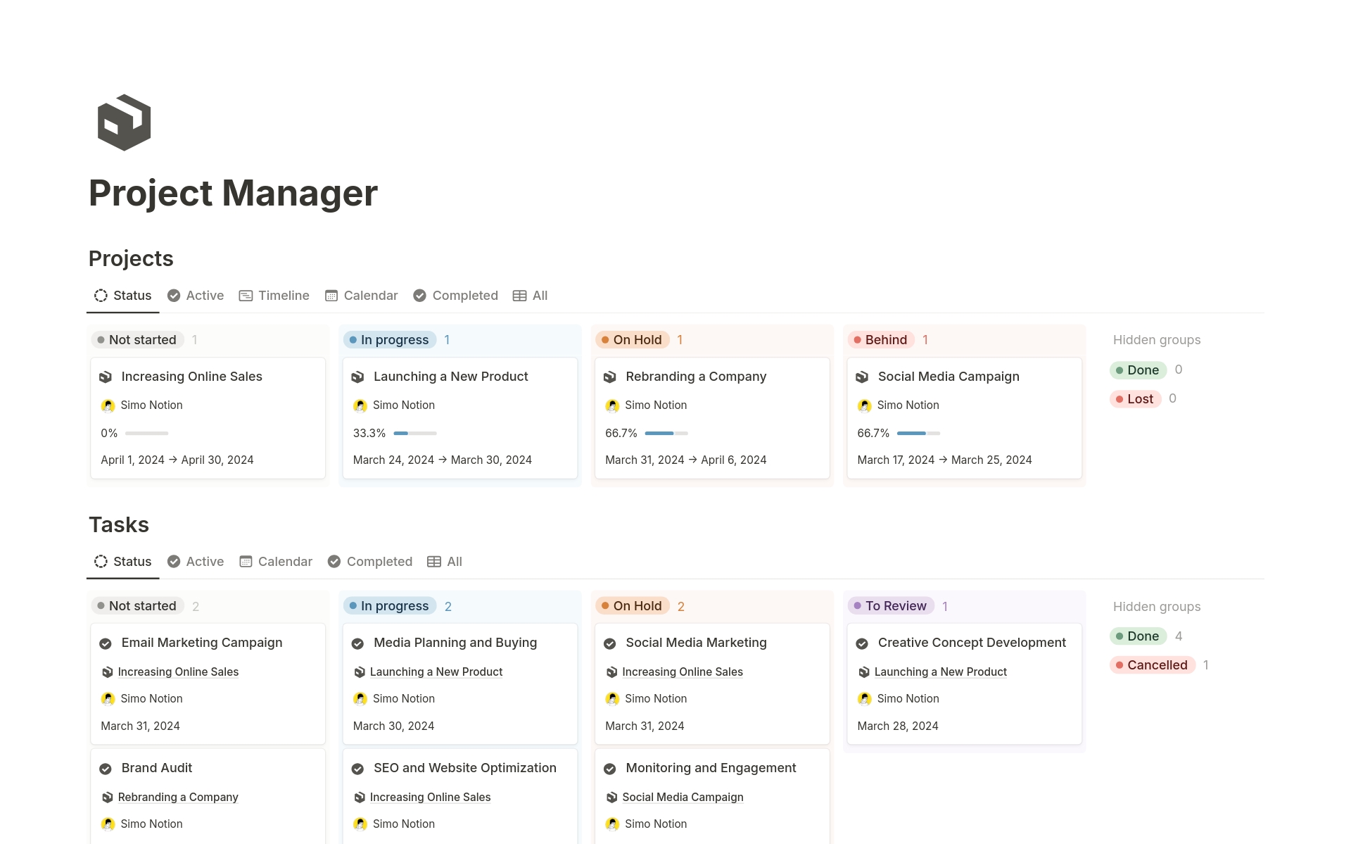 A template preview for Project Manager