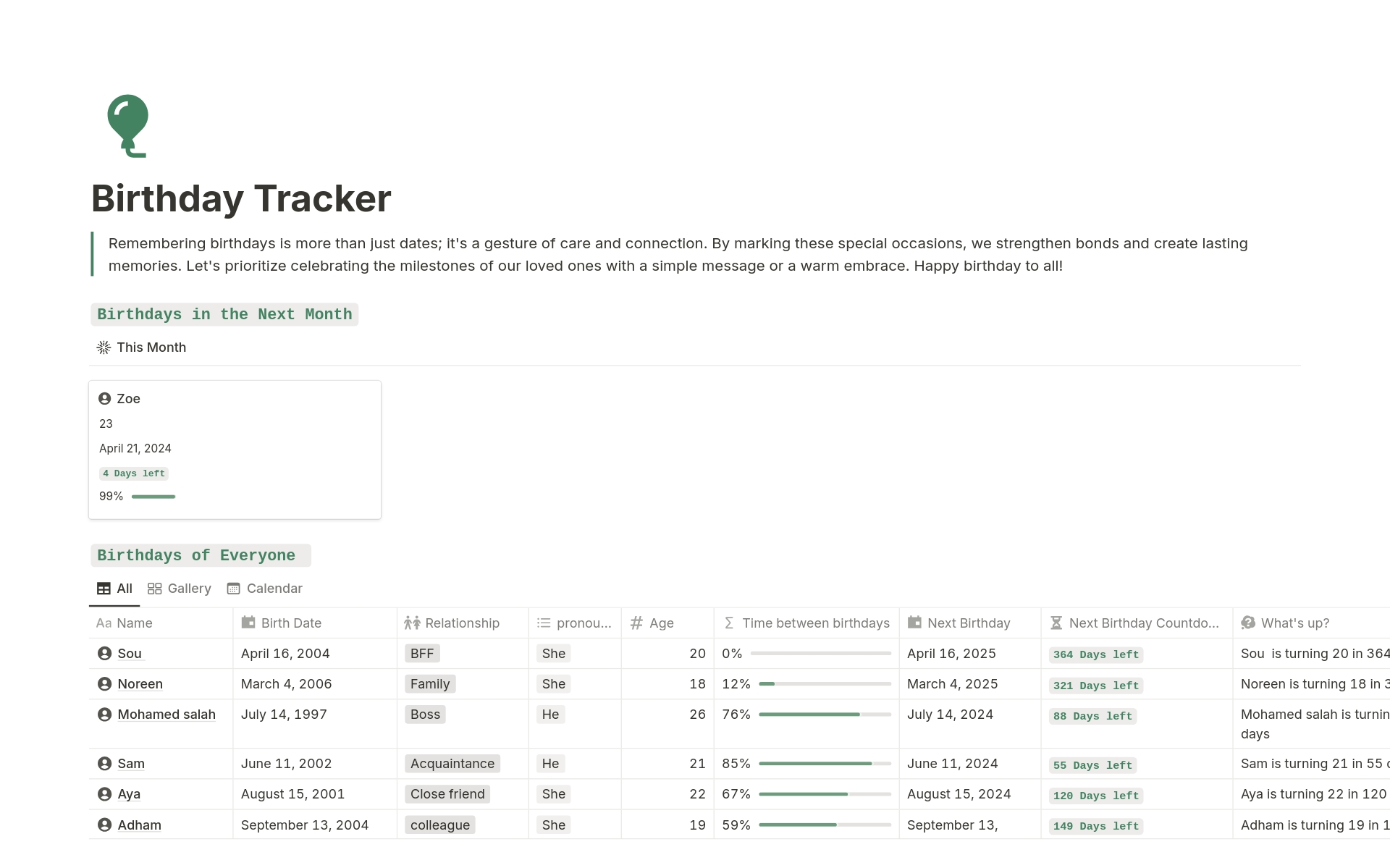 A template preview for Birthday Tracker