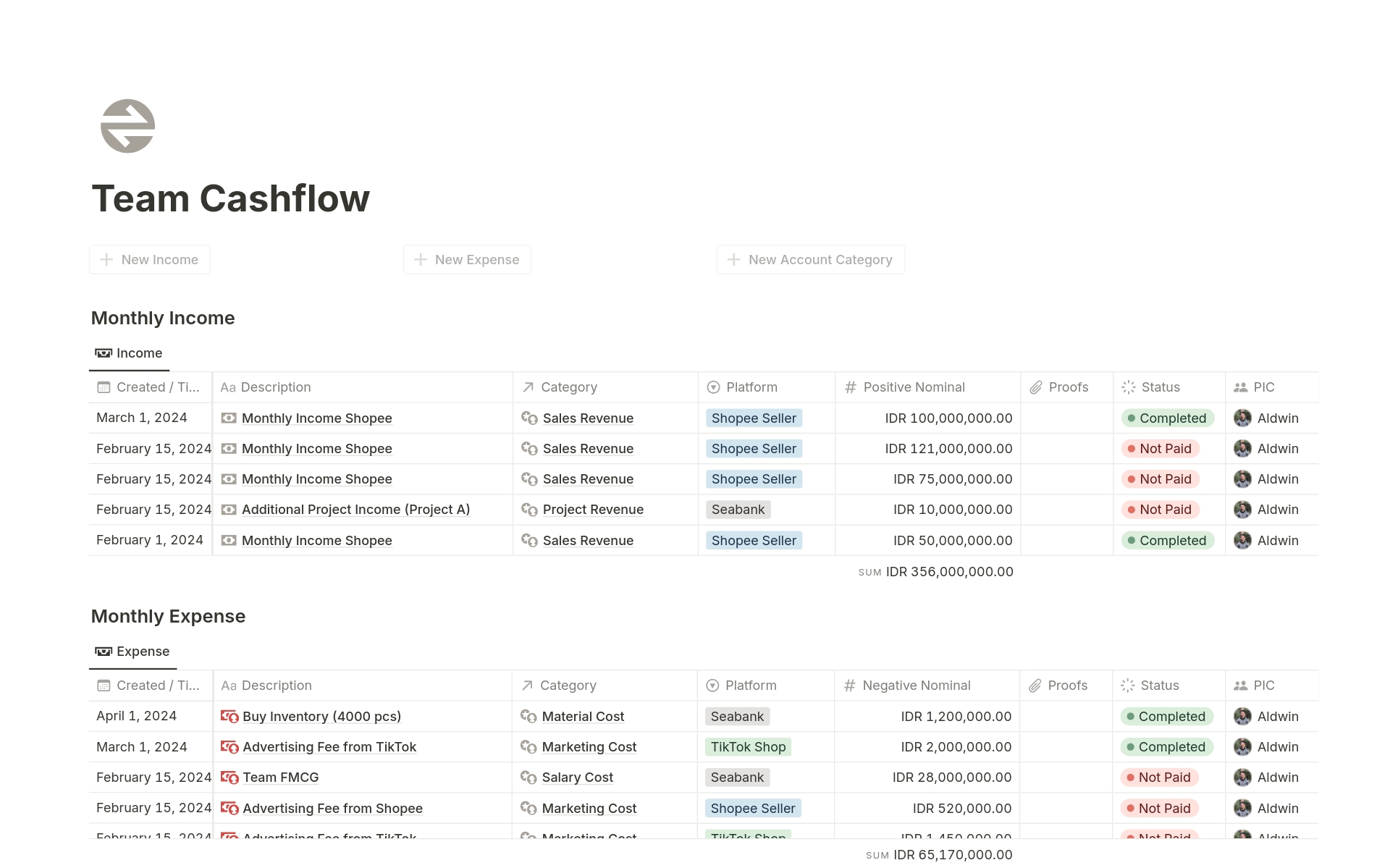 A template preview for Team Cashflow Tracker